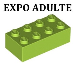 1 Entrée EXPO pour un adulte