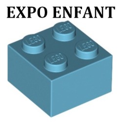 1 Entrée EXPO pour un enfant